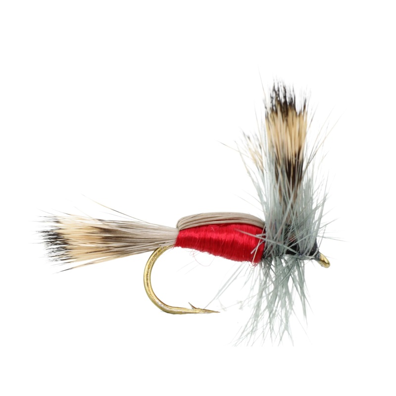 Libby LIB-03 Dove / Stone Sample