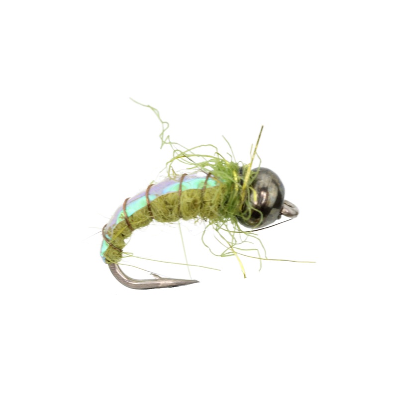 Gill Pendant