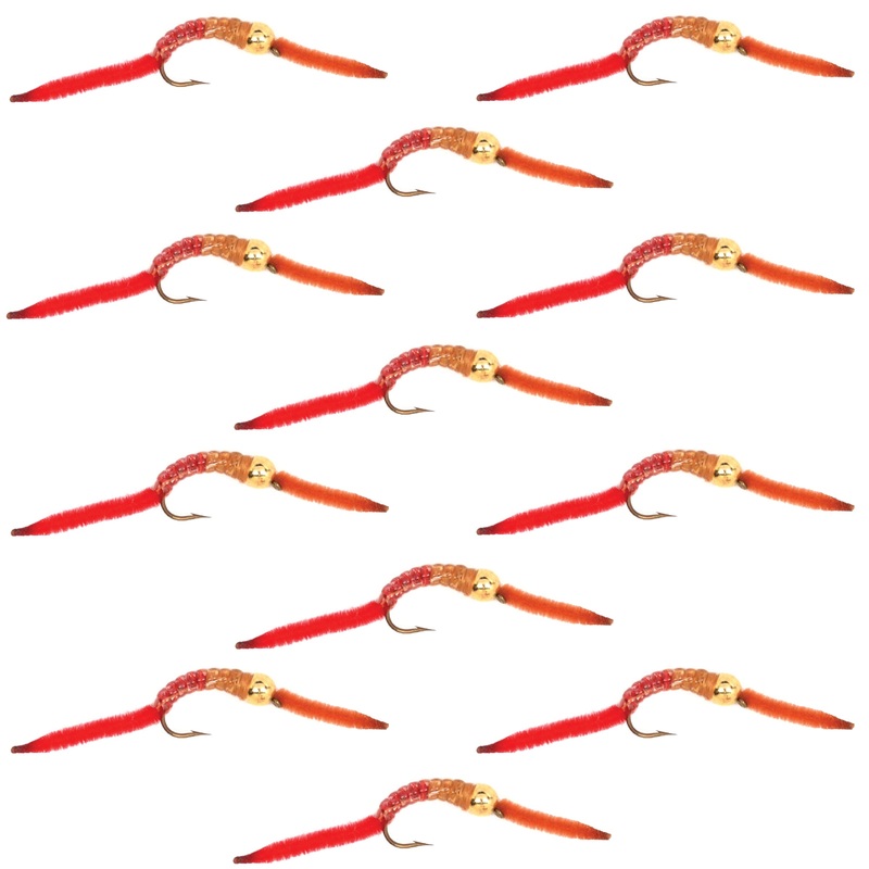 16 PIECE AKUA JIG SERIES KIT WITH PREMIUM BOX