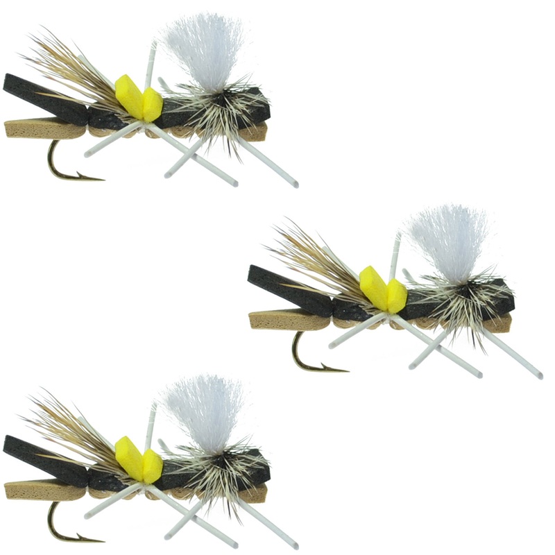 Zink Signature Series Multipak